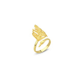 Anillo Cisne