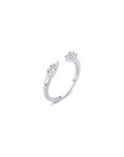 Anillo Lucent
