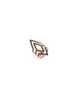 Anillo del Panel