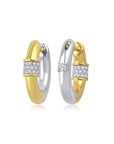 Shine Duo Earring