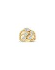 Anillo Liona de oro de 14k