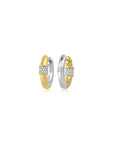 Shine Duo Earring