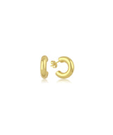 Mini Curve Earring