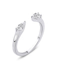 Anillo Lucent