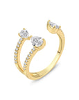 Anillo Livia