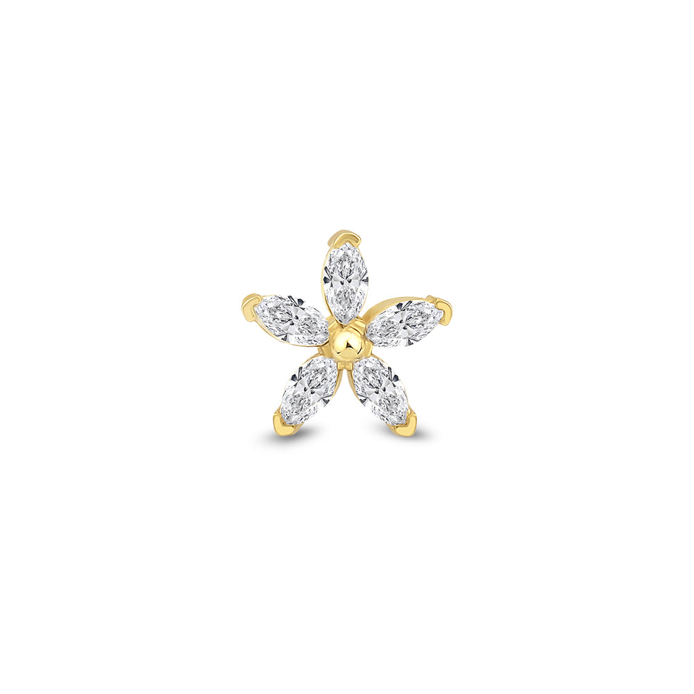 Piercing Wing de Oro 14K