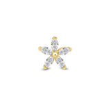 14K Gold Jasmine Bloom Piercing