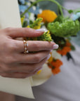 Anillo Lucent