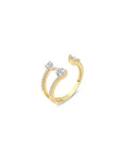Anillo Livia