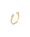 Anillo Lucent