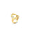Anillo de Noria