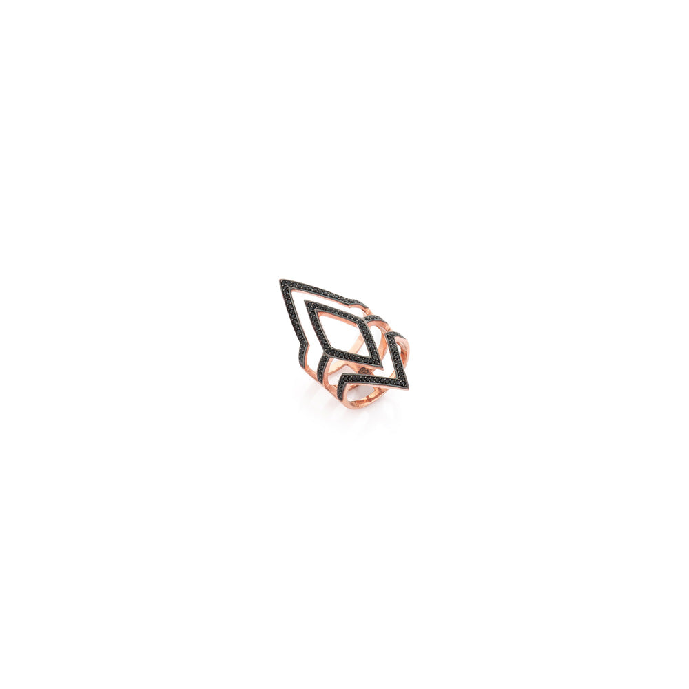 Anillo del Panel