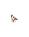 Anillo del Panel