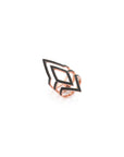 Anillo del Panel