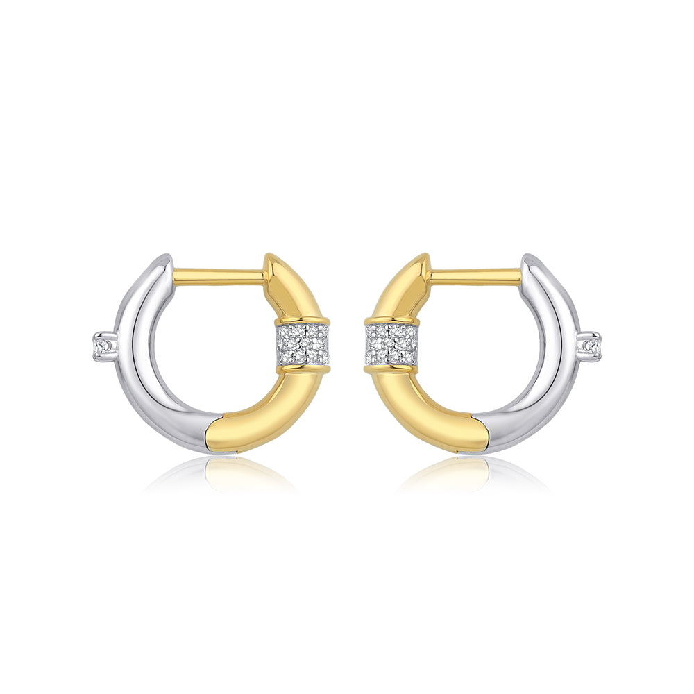 Shine Duo Earring