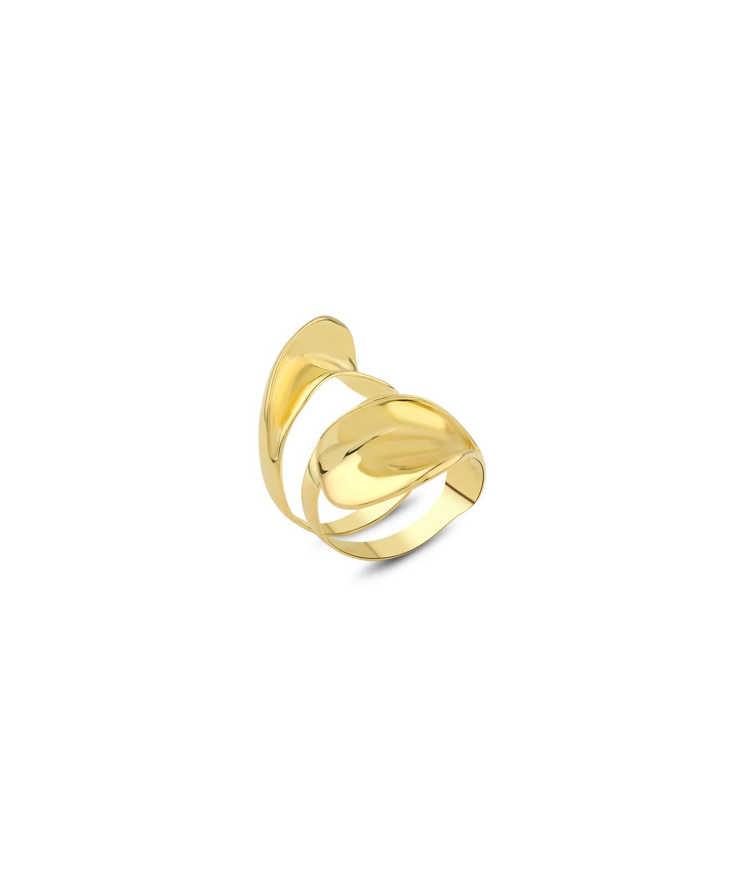 Anillo Shura