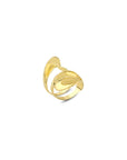 Anillo Shura