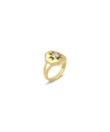 14K Gold Terra Ring