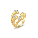 Anillo Laila